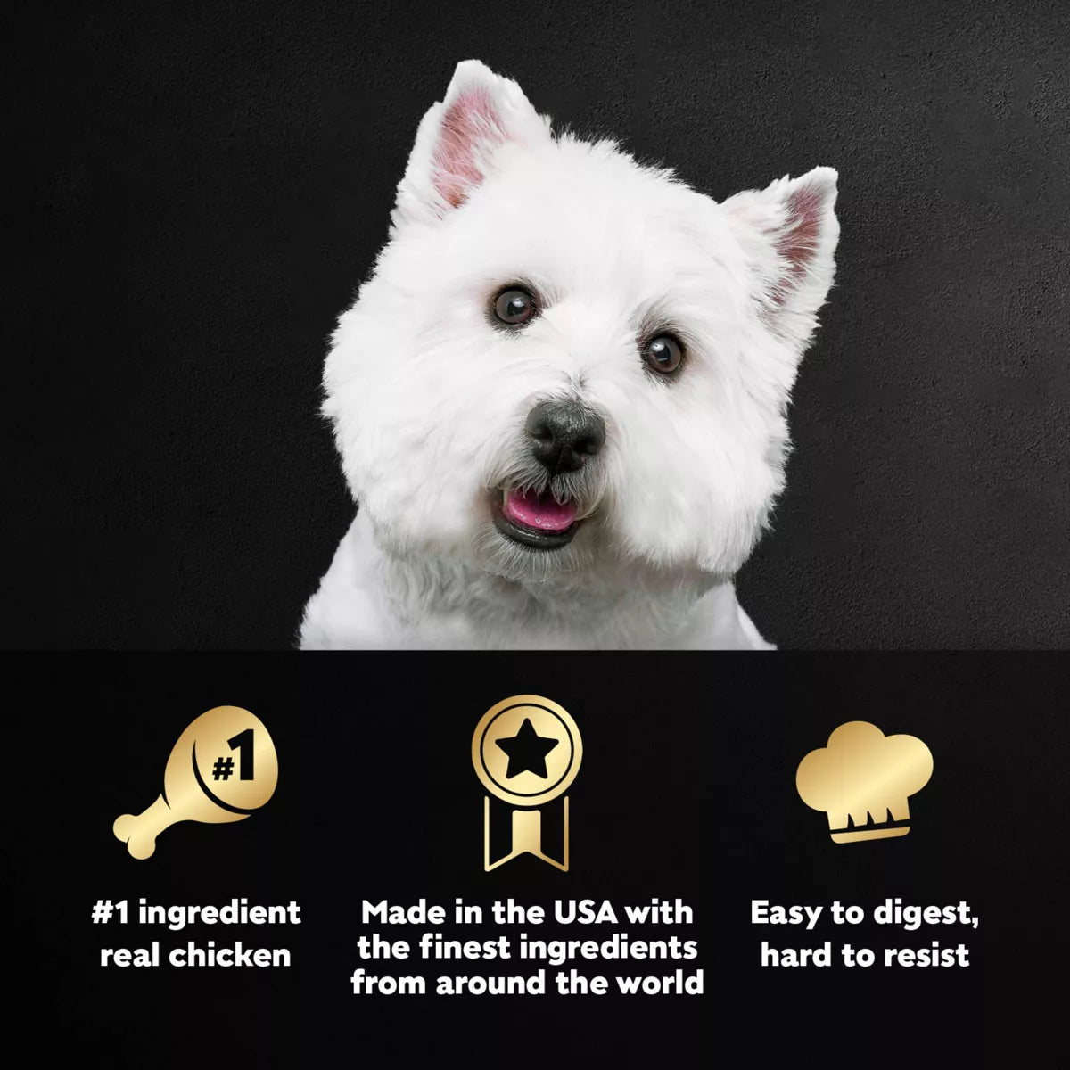 Cesar Classic Loaf in Sauce Grilled Chicken and Gravy Flavor Small Breed Wet Dog Food - 3.5Oz